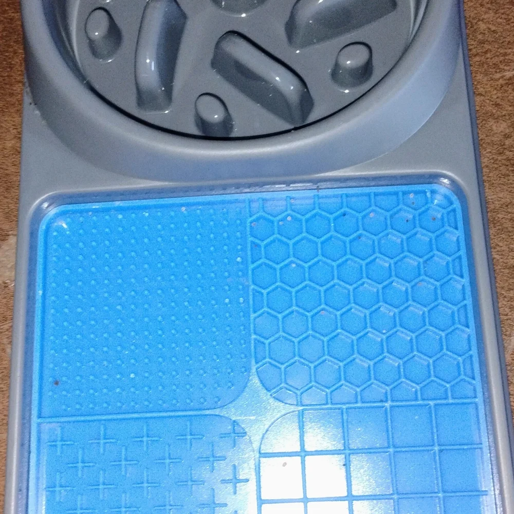 Apex Gray and Blue Dog Bowl Feeder